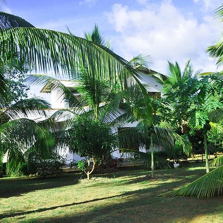 Coconut Garden House Hotel Удавалаве Екстериор снимка
