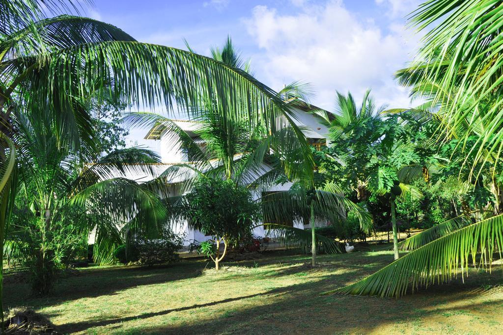 Coconut Garden House Hotel Удавалаве Екстериор снимка