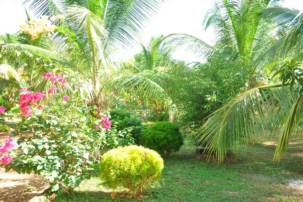 Coconut Garden House Hotel Удавалаве Екстериор снимка