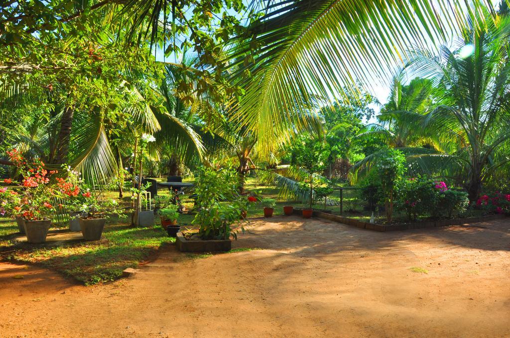 Coconut Garden House Hotel Удавалаве Екстериор снимка